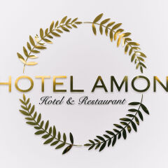 Hotel Amon сауна