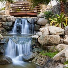Отель JA Palm Tree Court фото 5