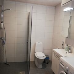 Отель Kotimaailma Apts Joensuu Kalevankatu 36 Йоенсуу ванная