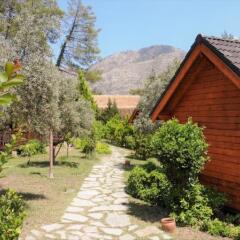 Olympos Village Ecologic Activity Hotel Кемер фото 5
