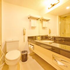 Отель Galadari Hotel Шри-Ланка, Коломбо - отзывы, цены и фото номеров - забронировать отель Galadari Hotel онлайн ванная фото 2