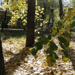 Гостиница Адмирал Украина, Одесса - 8 отзывов об отеле, цены и фото номеров - забронировать гостиницу Адмирал онлайн приотельная территория