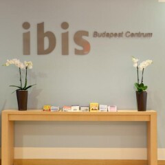 Отель Ibis Budapest Centrum Будапешт спа фото 2