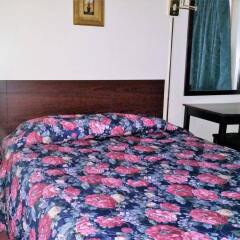 Отель Swiss Cottage Inn США, Ниагара-Фолс - 1 отзыв об отеле, цены и фото номеров - забронировать отель Swiss Cottage Inn онлайн комната для гостей фото 2