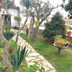 Отель Hostal Casa Torrent фото 6