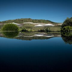 Отель Quinta do Vallado Португалия, Пезу-да-Регуа - отзывы, цены и фото номеров - забронировать отель Quinta do Vallado онлайн приотельная территория