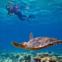Отель Kihaad Maldives спортивное сооружение