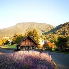Отель Carmel Valley Ranch парковка