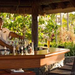 Отель Sofitel Fiji Resort And Spa Фиджи, Вити-Леву - отзывы, цены и фото номеров - забронировать отель Sofitel Fiji Resort And Spa онлайн гостиничный бар