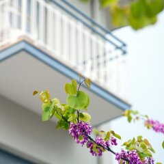 Отель Astoria Италия, Риччоне - отзывы, цены и фото номеров - забронировать отель Astoria онлайн интерьер отеля