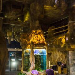 Отель Caves Beach Resort Hurghada - Adults Only - All Inclusive фото 16