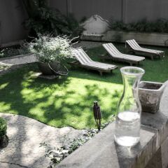 Отель Pug Seal B&B Coyoacan Мексика, Мехико - отзывы, цены и фото номеров - забронировать отель Pug Seal B&B Coyoacan онлайн бассейн фото 3