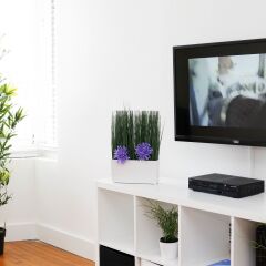 Отель Garden Suites Apartments США, Майами-Бич - отзывы, цены и фото номеров - забронировать отель Garden Suites Apartments онлайн интерьер отеля фото 2