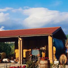 Отель Agriturismo Bini Сарцана фото 5