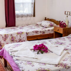 Flower Pension Hotel комната для гостей фото 2