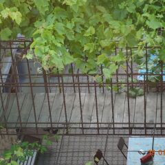 Гостиница Guest House on Turgeneva 172a в Анапе отзывы, цены и фото номеров - забронировать гостиницу Guest House on Turgeneva 172a онлайн Анапа детские мероприятия фото 2