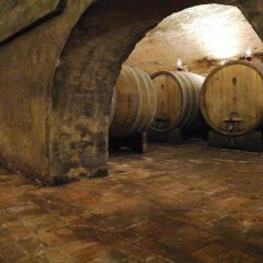 Отель Castello di Lispida Италия, Региональный парк Colli Euganei - отзывы, цены и фото номеров - забронировать отель Castello di Lispida онлайн фото 6