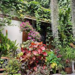 Отель OYO 812 Nature House Бангкок фото 12