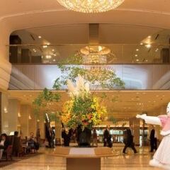 Keio Plaza Hotel Tokyo Premier Grand Токио помещение для мероприятий фото 2