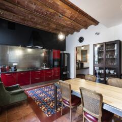 Отель Vidre Home - Plaza Real развлечения