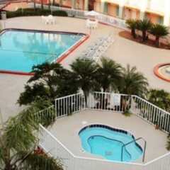 Отель Clarion Inn & Suites Clearwater с домашними животными