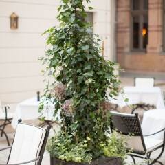 Отель monbijou Hotel Berlin Германия, Берлин - отзывы, цены и фото номеров - забронировать отель monbijou Hotel Berlin онлайн балкон