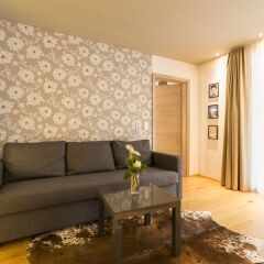 Отель Room 5 Apartments Австрия, Зальцбург - отзывы, цены и фото номеров - забронировать отель Room 5 Apartments онлайн комната для гостей фото 2