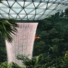 Отель Yotelair Singapore Changi Airport Сингапур фото 6