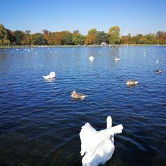 Отель Kensington Palace by Underground station Лондон приотельная территория
