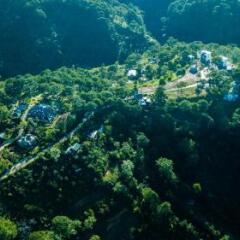 Отель The Kupid Hill Homestay Далат приотельная территория