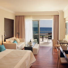 Отель Elysium Resort & Spa комната для гостей фото 4