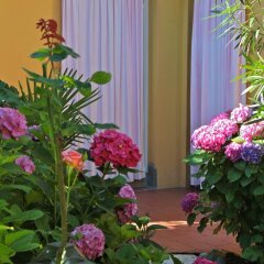 Hotel San Filis фото 6