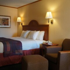 Отель Best Western Country Inn - North США, Канзас-Сити - отзывы, цены и фото номеров - забронировать отель Best Western Country Inn - North онлайн комната для гостей фото 3