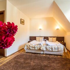 Отель Family Hotel Teteven Болгария, Тетевен - отзывы, цены и фото номеров - забронировать отель Family Hotel Teteven онлайн фото 9