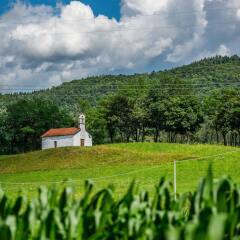Отель Agriturismo Casa de Bertoldi Беллуно