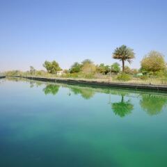 Отель One to One Hotel & Resort - Ain Al Faida ОАЭ, Эль-Айн - отзывы, цены и фото номеров - забронировать отель One to One Hotel & Resort - Ain Al Faida онлайн приотельная территория фото 2