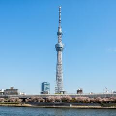 Отель Asakusa Cozy Hotel Япония, Токио - отзывы, цены и фото номеров - забронировать отель Asakusa Cozy Hotel онлайн приотельная территория