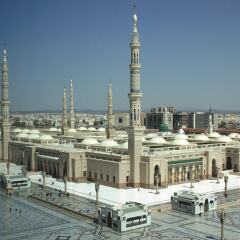 Anwar Al Madinah Movenpick Hotel фото 3