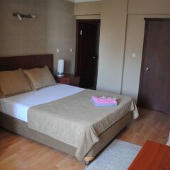 Asya Hotel Darica Турция, Гебзе - отзывы, цены и фото номеров - забронировать отель Asya Hotel Darica онлайн комната для гостей фото 5