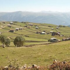 Birlik Yaylakent Турция, Узунгёль - отзывы, цены и фото номеров - забронировать отель Birlik Yaylakent онлайн фото 8