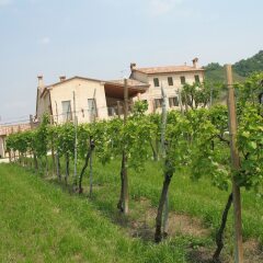 Отель La Casa Vecchia Вальдоббьадене фото 9