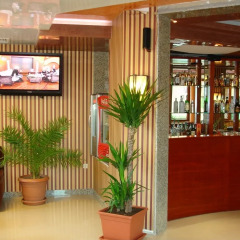 Hotel Royal Золотые пески гостиничный бар
