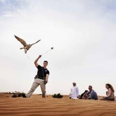 Отель Novotel Suites Mall of the Emirates развлечения