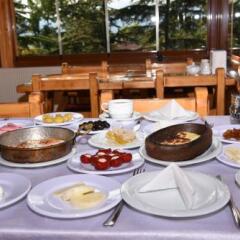 Garden Termal Otel Турция, Болу - отзывы, цены и фото номеров - забронировать отель Garden Termal Otel онлайн питание фото 3