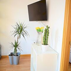 Отель Castilla Penthouse комната для гостей фото 5