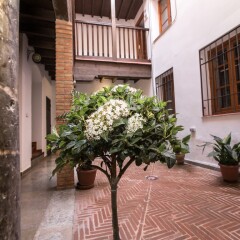 Отель Apartamentos Nahira Suites 3000 фото 18
