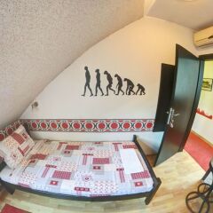 Hostel No9 с домашними животными