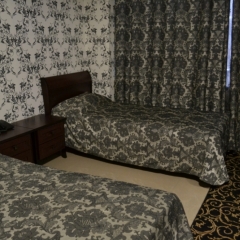 Гостиница Frantel Palace фото 6