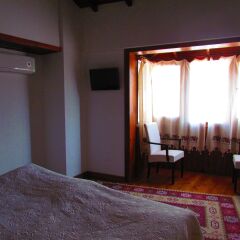 Amazon Petite Palace Турция, Сельчук - отзывы, цены и фото номеров - забронировать отель Amazon Petite Palace онлайн сейф в номере