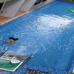 Отель The Pool Resort детские мероприятия фото 2